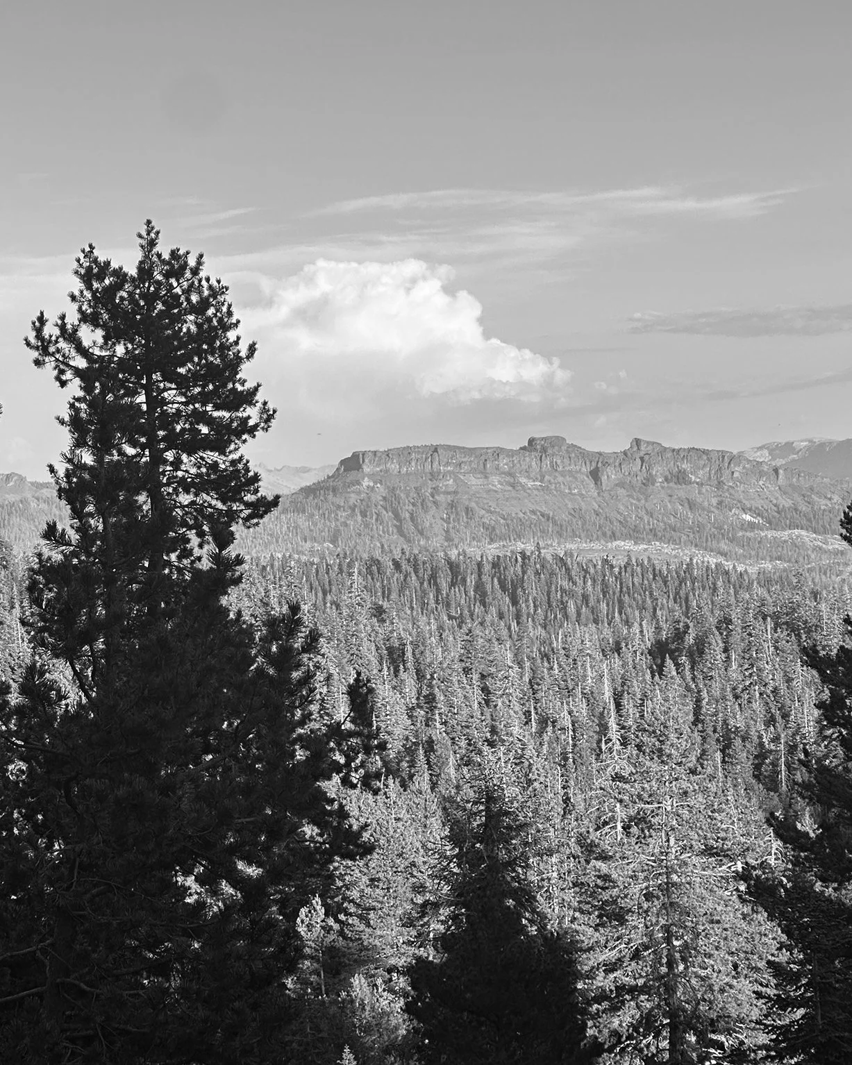 September 2025 Happenings