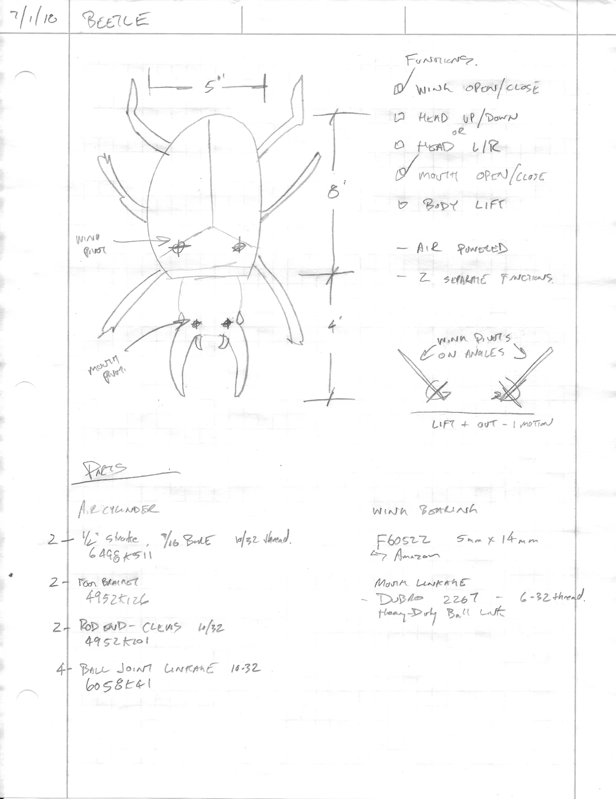 beetle_01.jpg