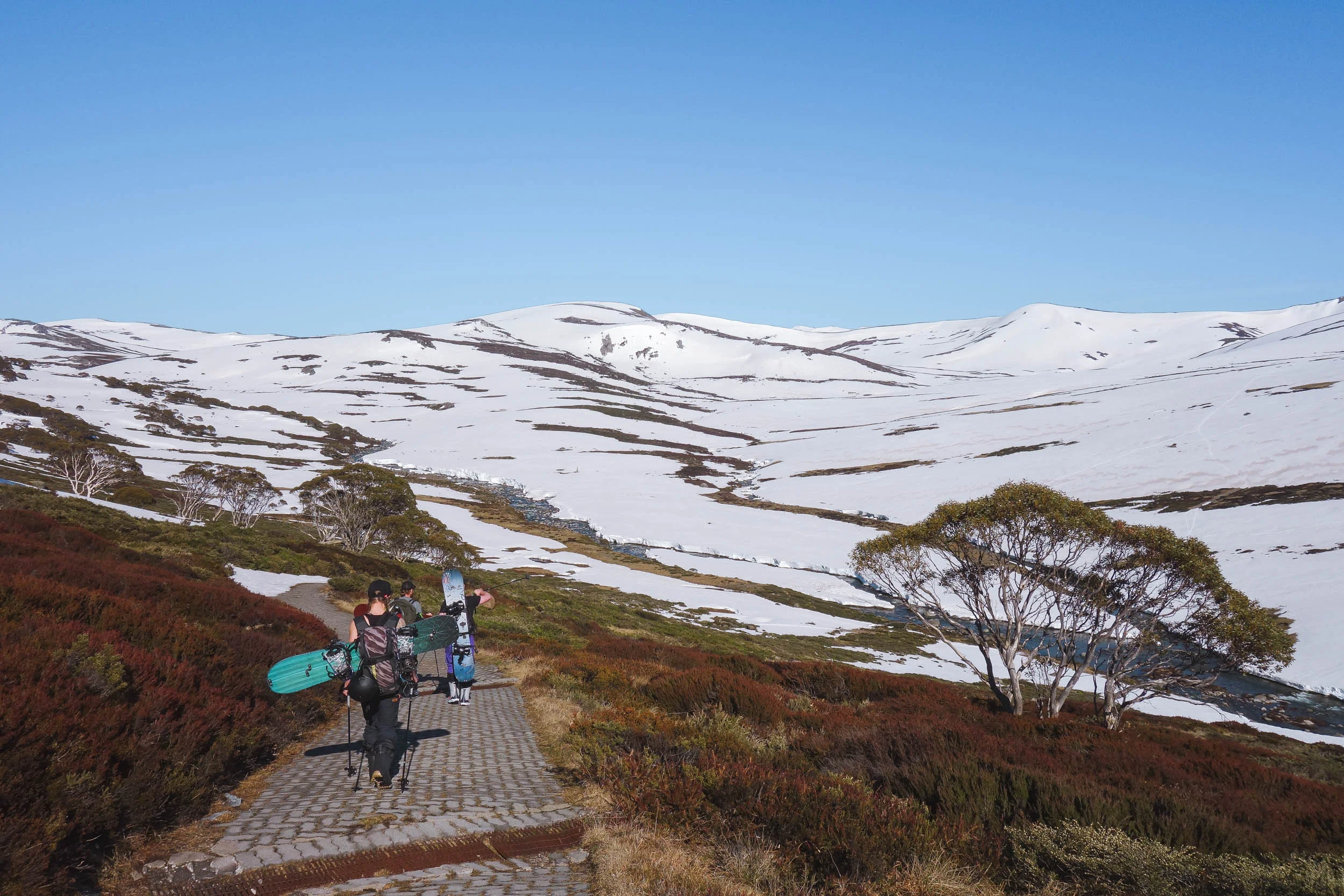 The start of the Main Range Walking Track. Heading down toward the Snowy River Crossing point.