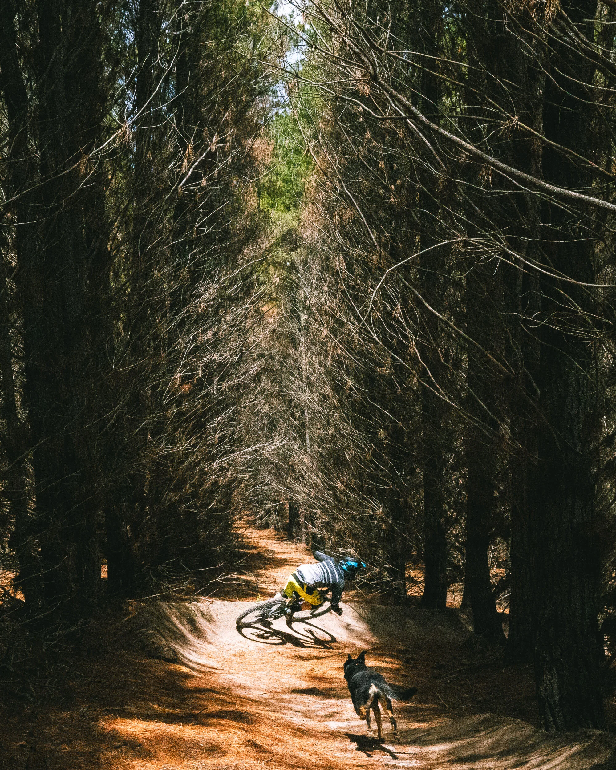 A rider through the berm, trailed by his dog.