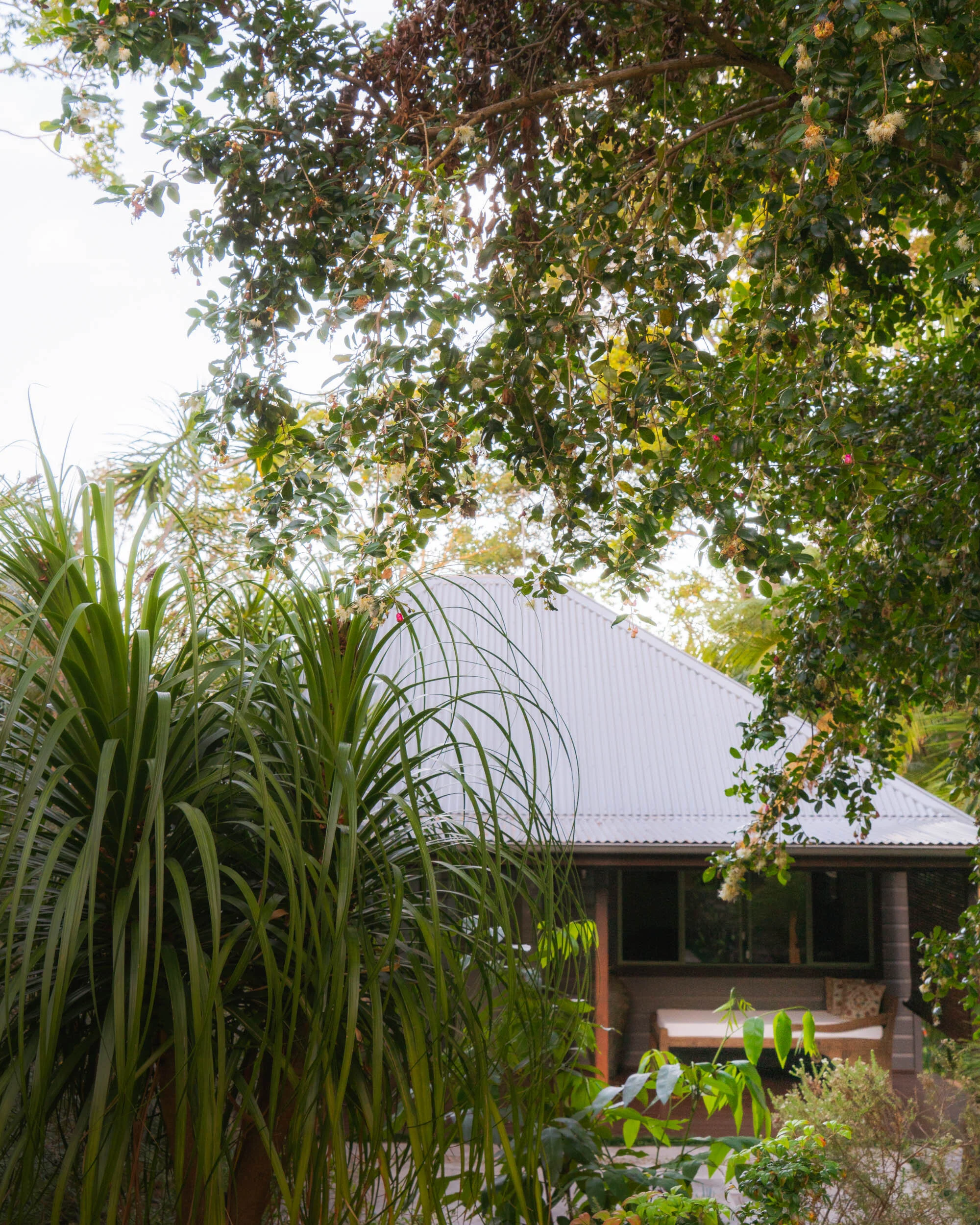 Our Airbnb Bungalow.