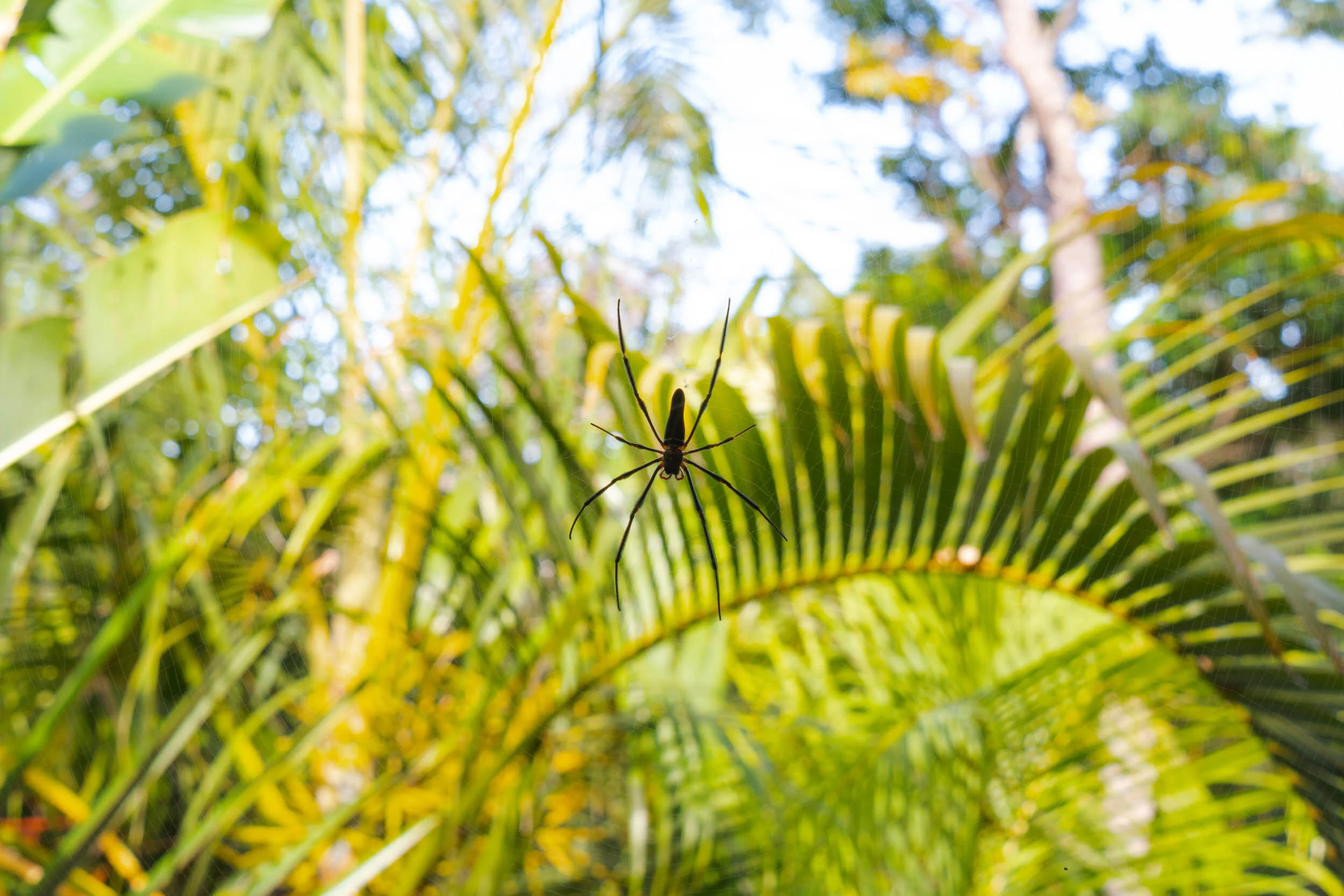 A friendly guest.