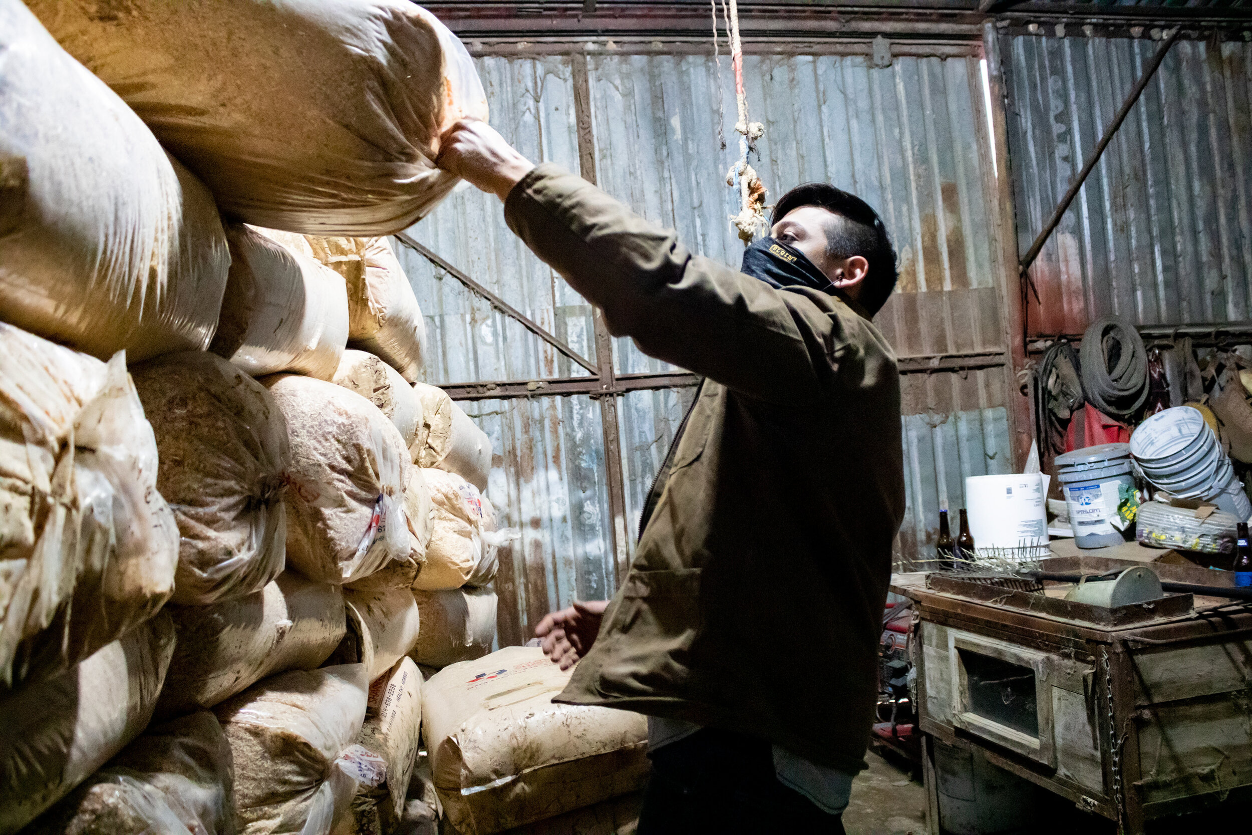 Horse Stable_12_M1.1B_NeckGaiter.JPG