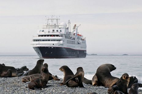 silversea-antarctica-cruise-seals-2.jpg