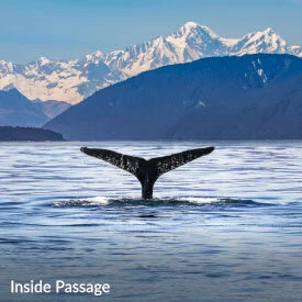 7-NIGHT ALASKA CRUISE