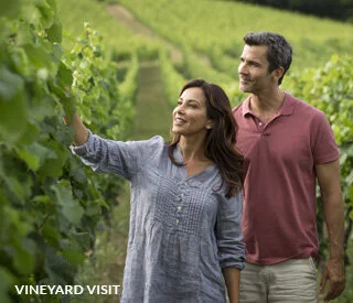 8-DAY ROMANTIC RHINE