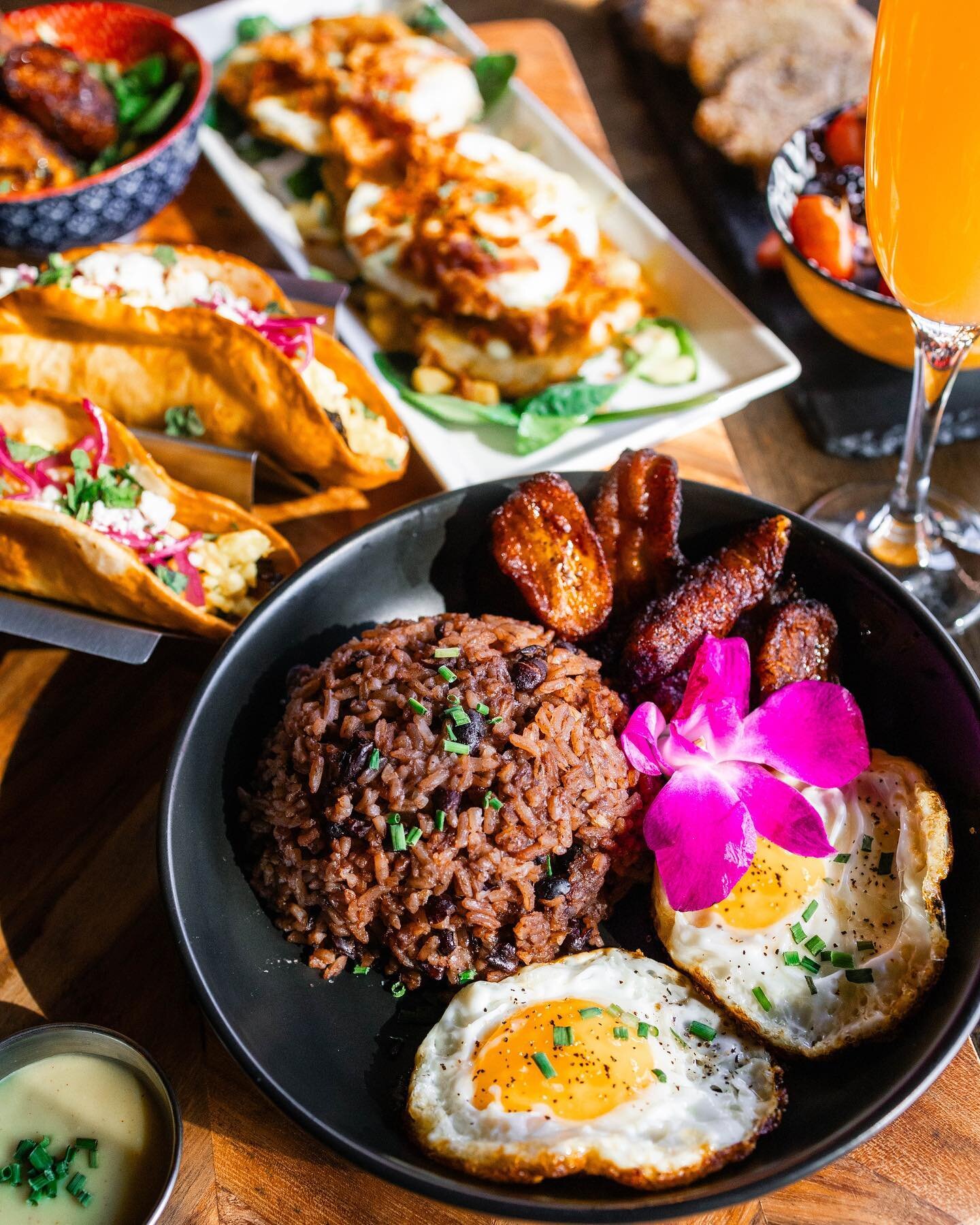 BRUNCH RETURNS 🍳
Mark Your Calendars!
Sunday Nov 19th 🥂 11am-3pm

You asked and we answered! 
Indulge in a COPA inspired Brunch Menu featuring new dishes like Tostones Benedict, Gallo Pinto, Breakfast Tacos, Steak &amp; Eggs and more! 

Plus enjoy 