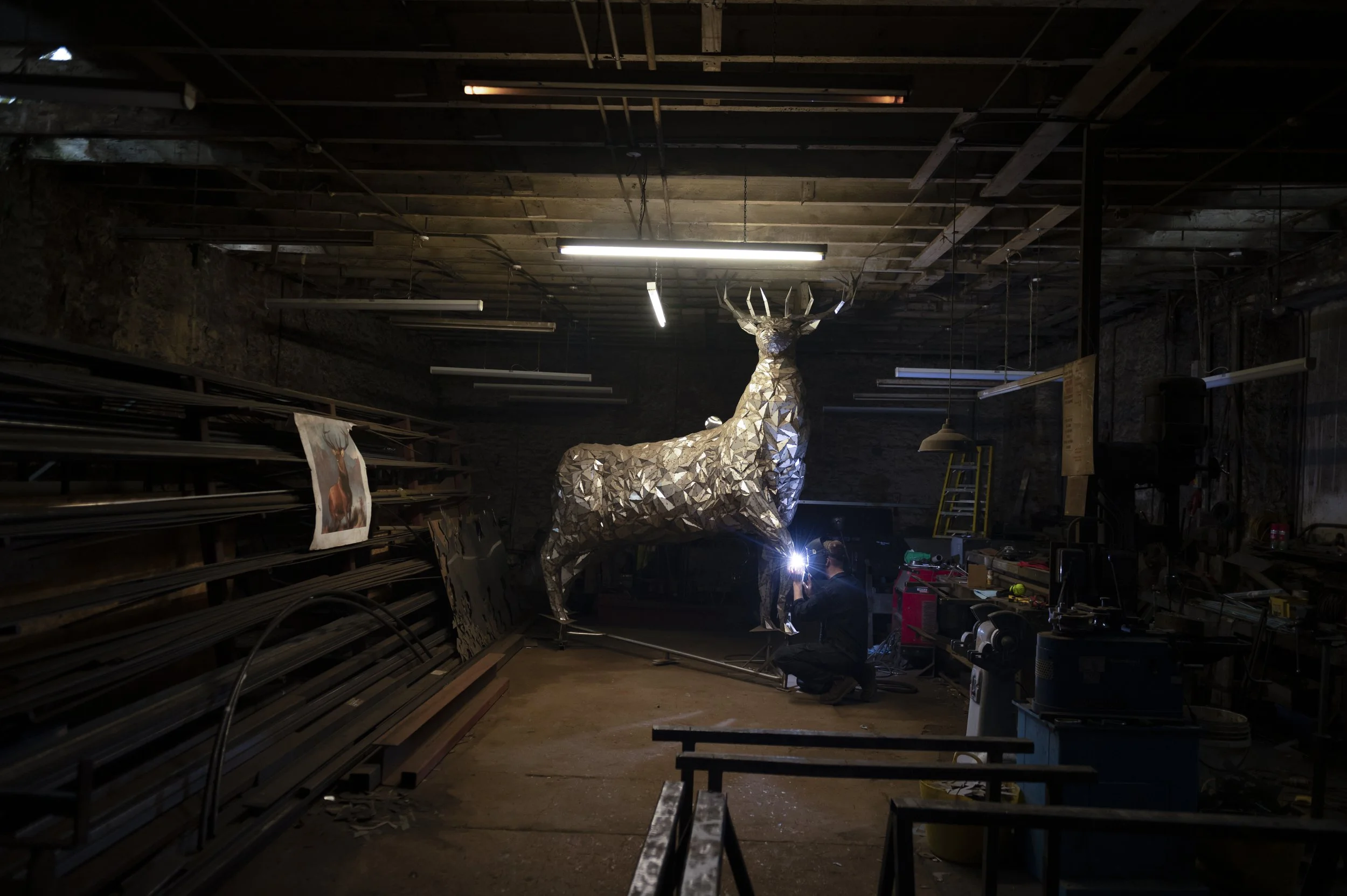 Monarch of the Borders -11.jpg