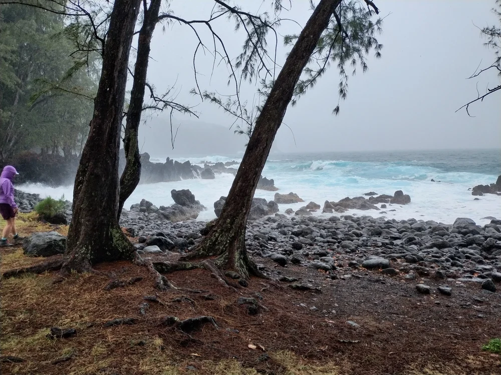 Laupahoehoe point.jpg