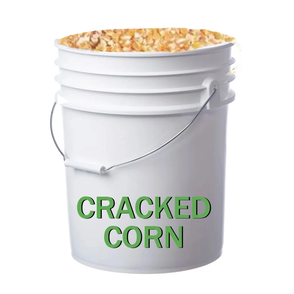 White Bucket Cracked Corn.jpg