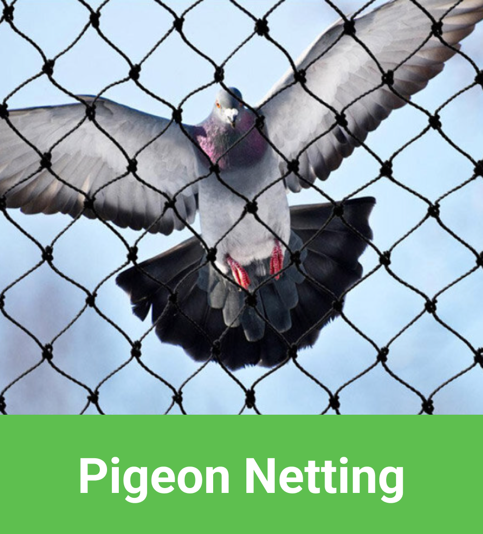 Bird Netting: Everything you Should Know