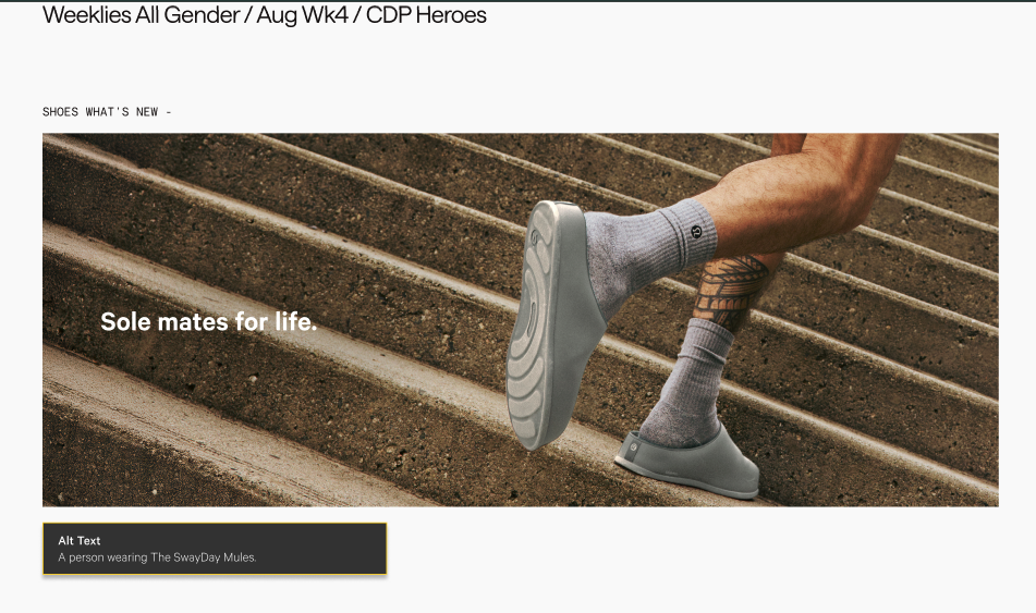 Screenshot 2026-01-05 at 8.15.03 PM.png