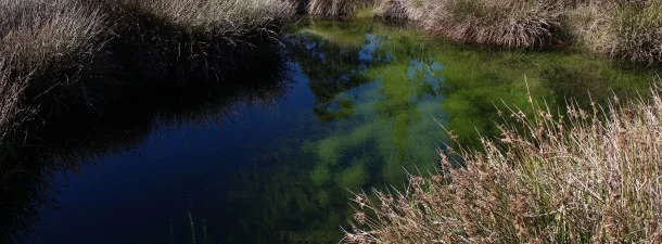 
Valle Nuevo: Montañas en tierra de cocoteros  