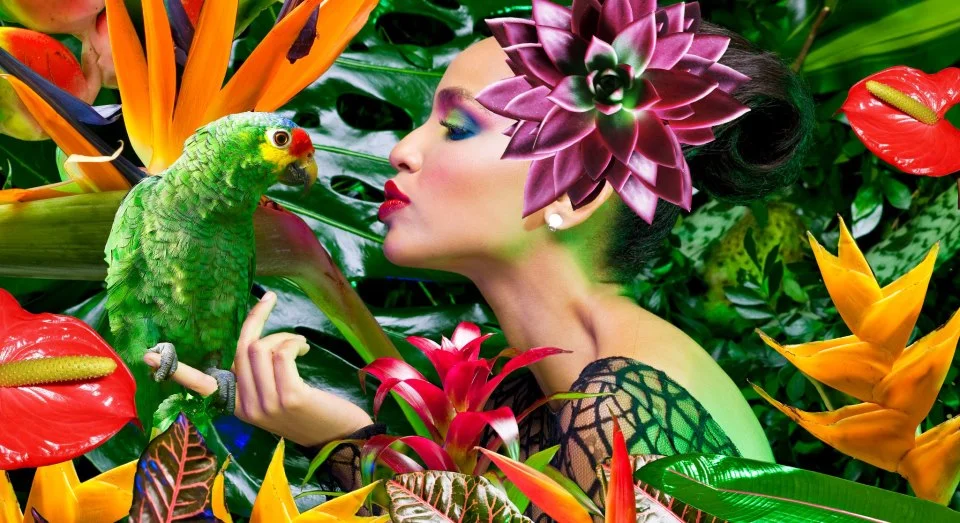 
Muebles y propuestas en DominicanaModa2012  