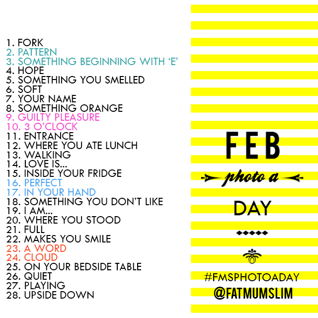 
FMS Photo a Day: Febrero  
