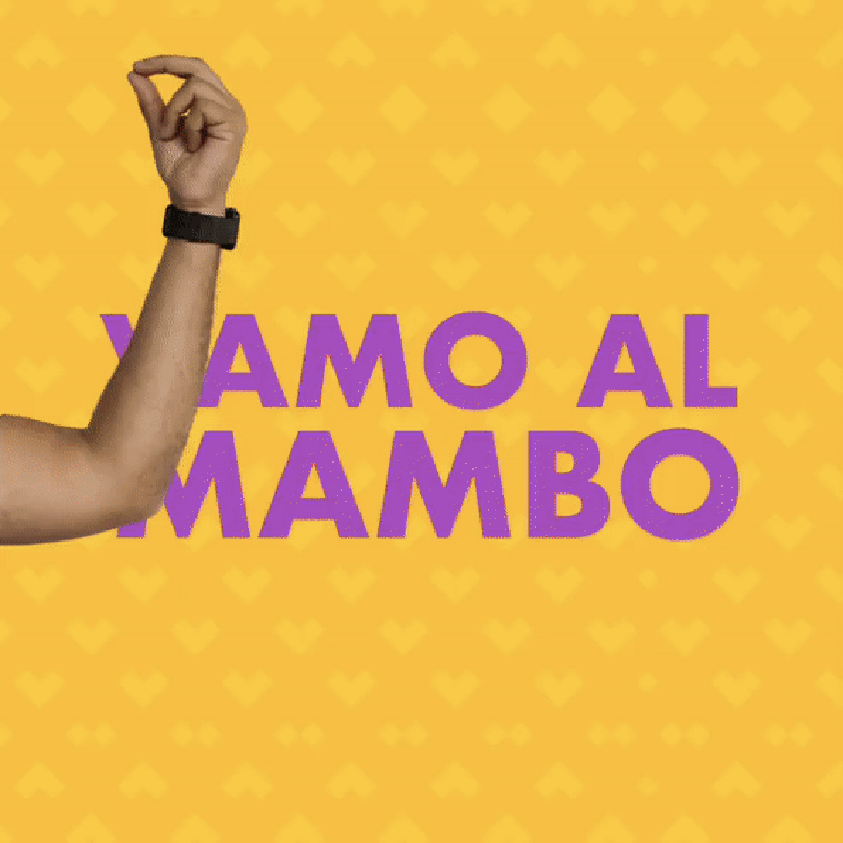 Back in track - 2019