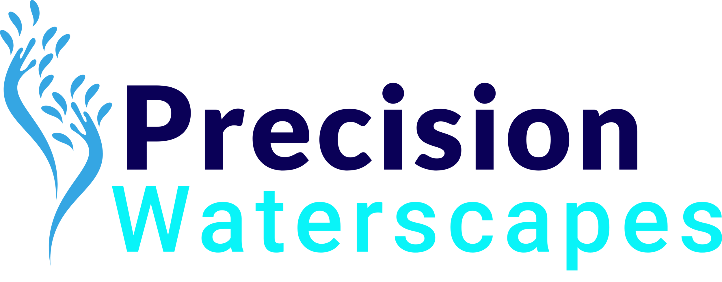 Precision Waterscapes