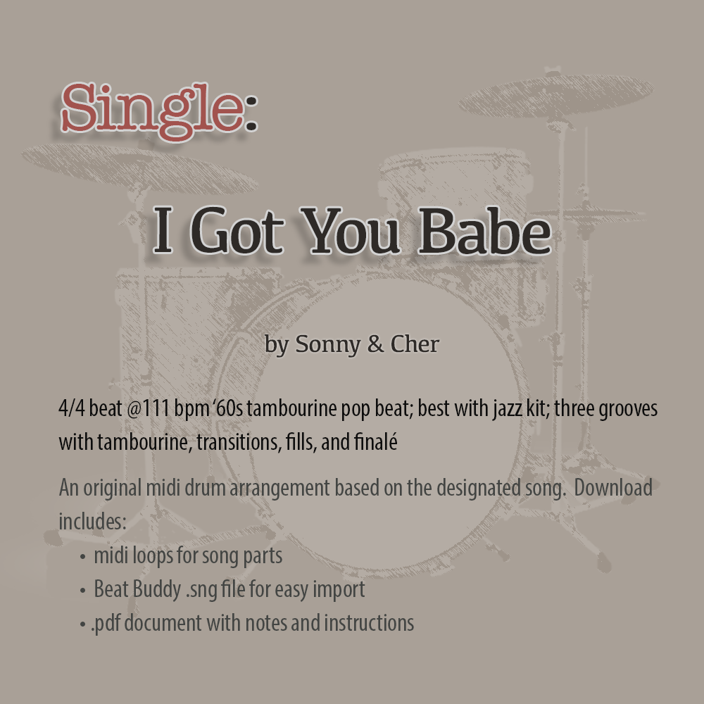 Single: I Got You Babe by Sonny and Cher