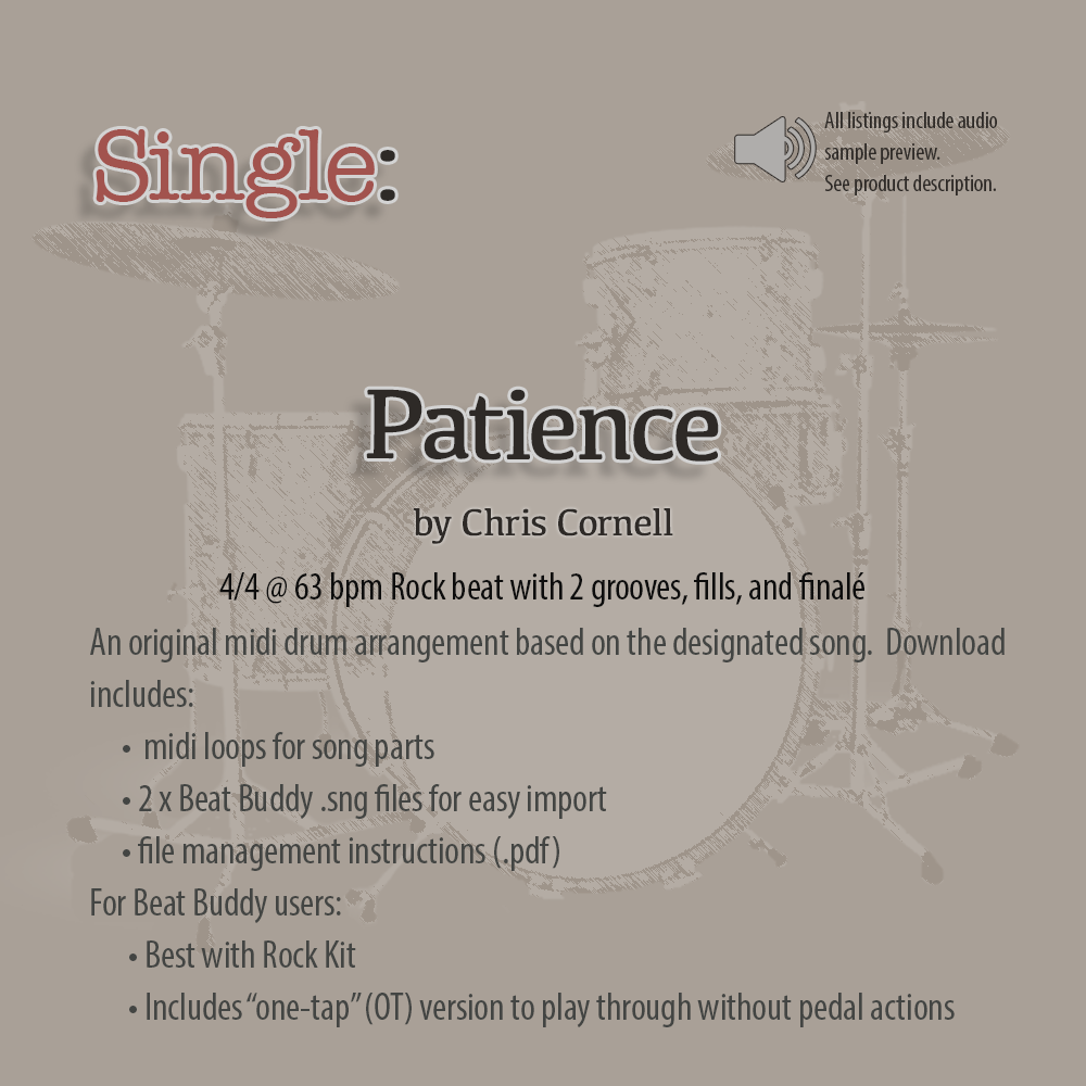 Single: Patience by Chris Cornell