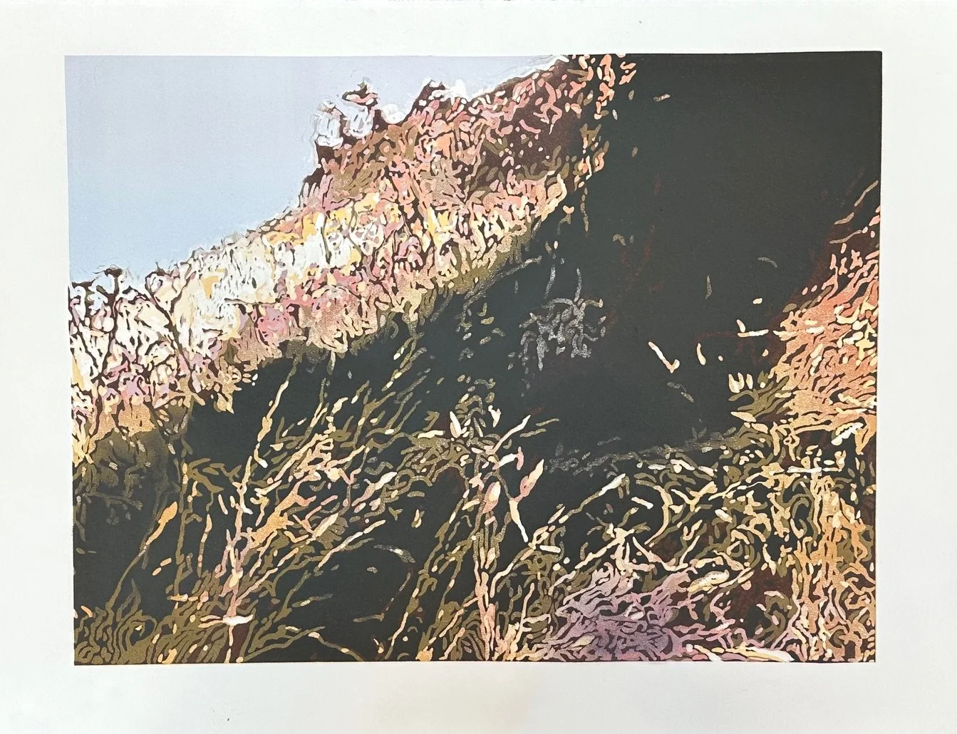 'Grass and Tree: Sun and Shade'