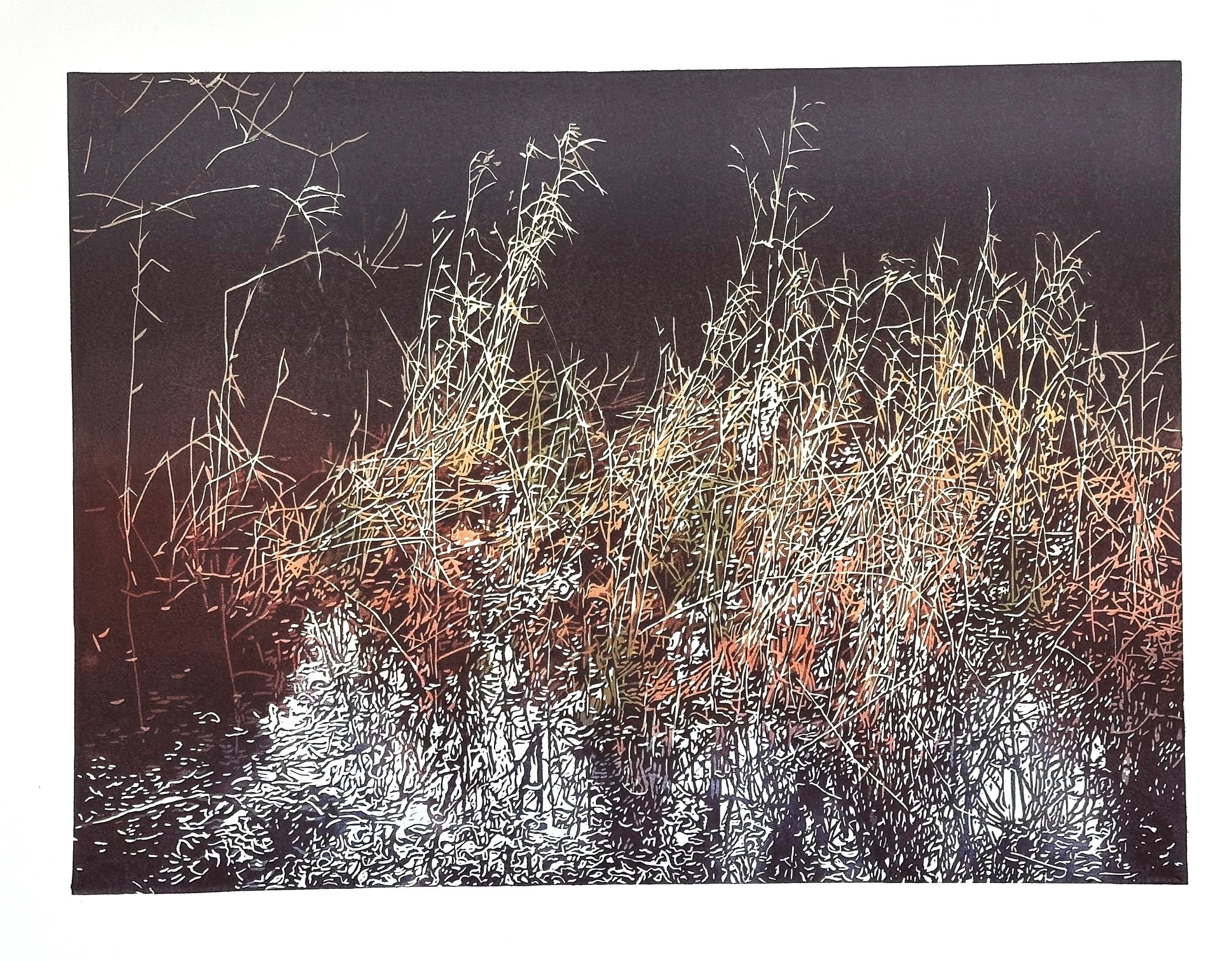 'Blackwater Pond'