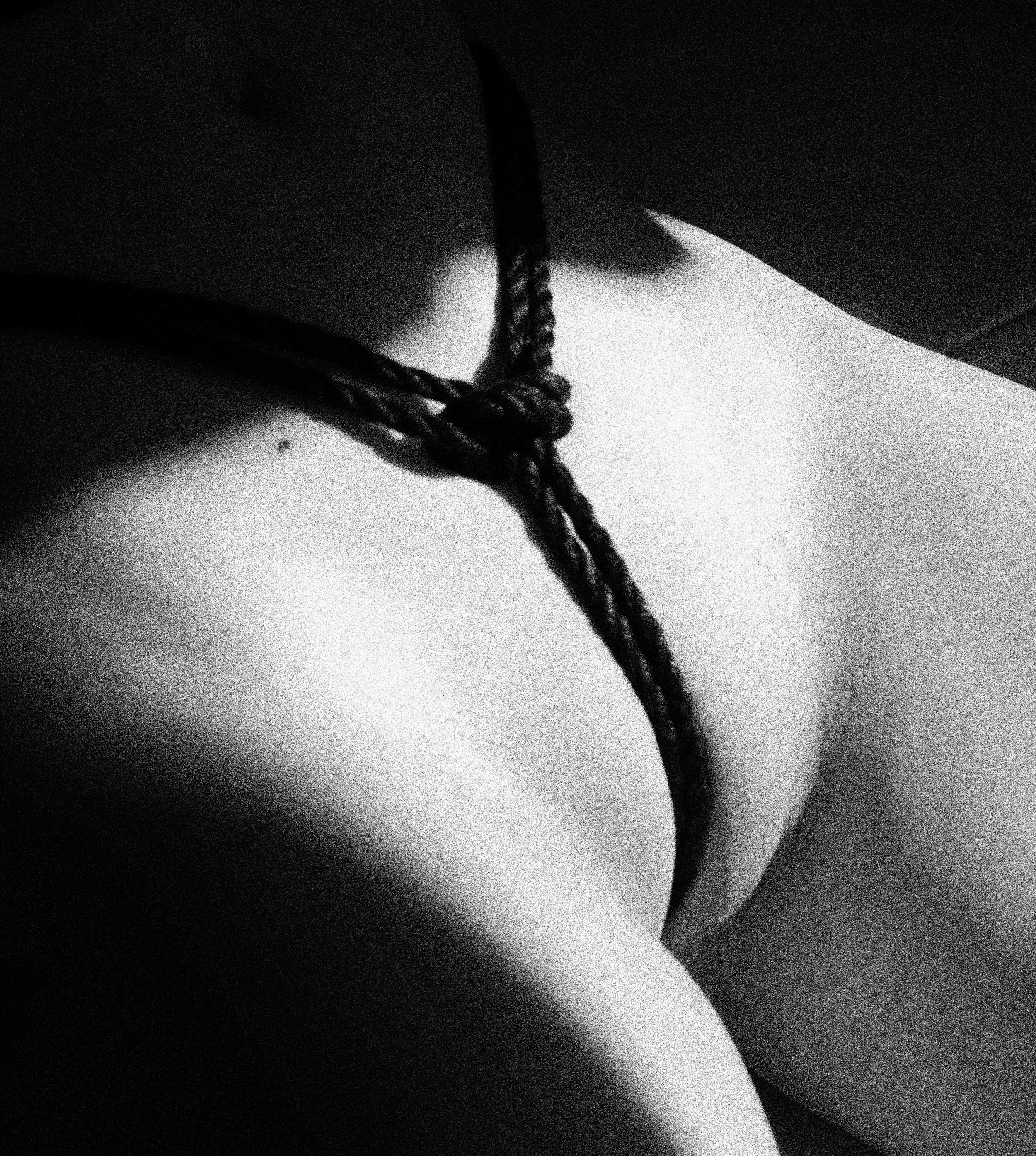 untitled--2.jpg