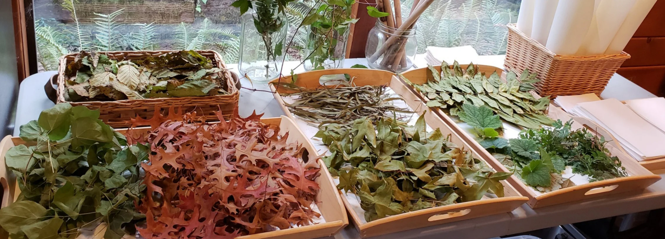 20181013_092411.jpg