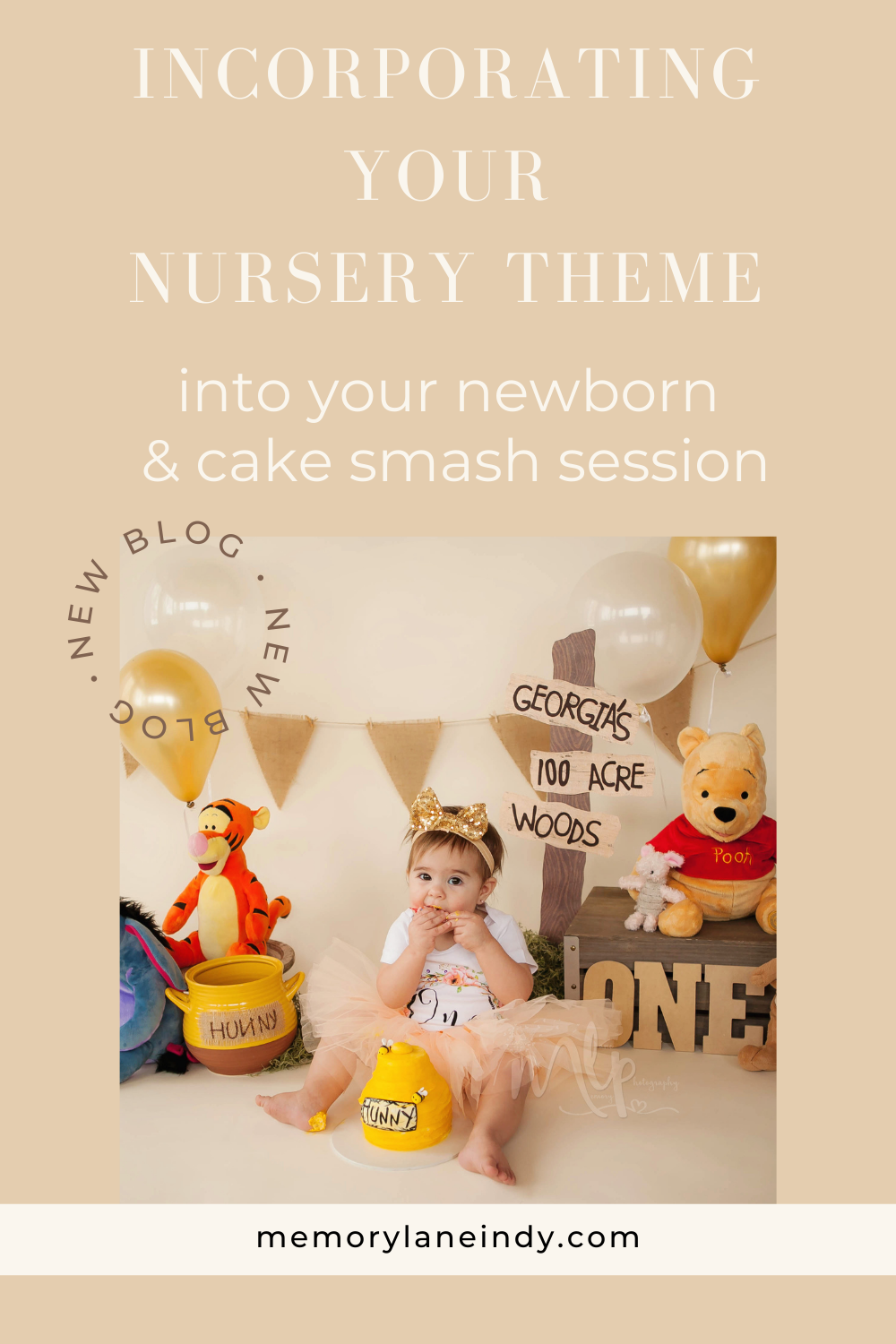 Incorporating themes into your newborn and first birthday cake smash session