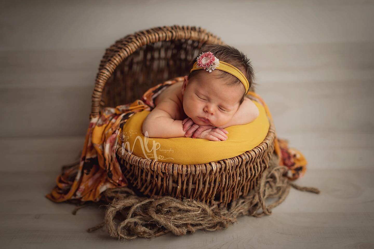 VARIETY- you can be sure you will get variety at your newborn session!
✨Variety of colors and textures 
✨Variety of poses
✨Variety of angles
These highlights from little Miss Arla&rsquo;s session are a good example of how much variety you can have!
&