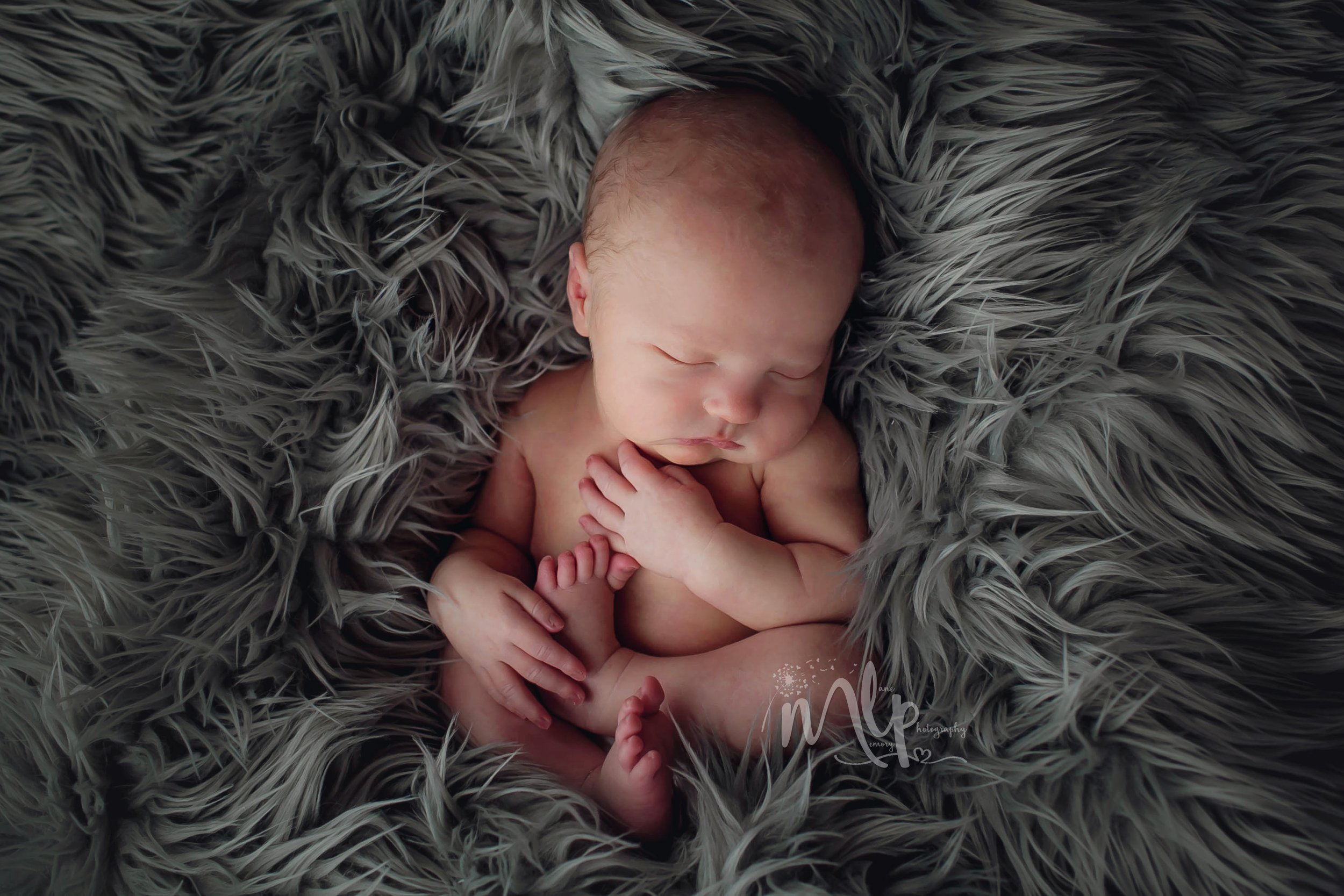 newborn photographer