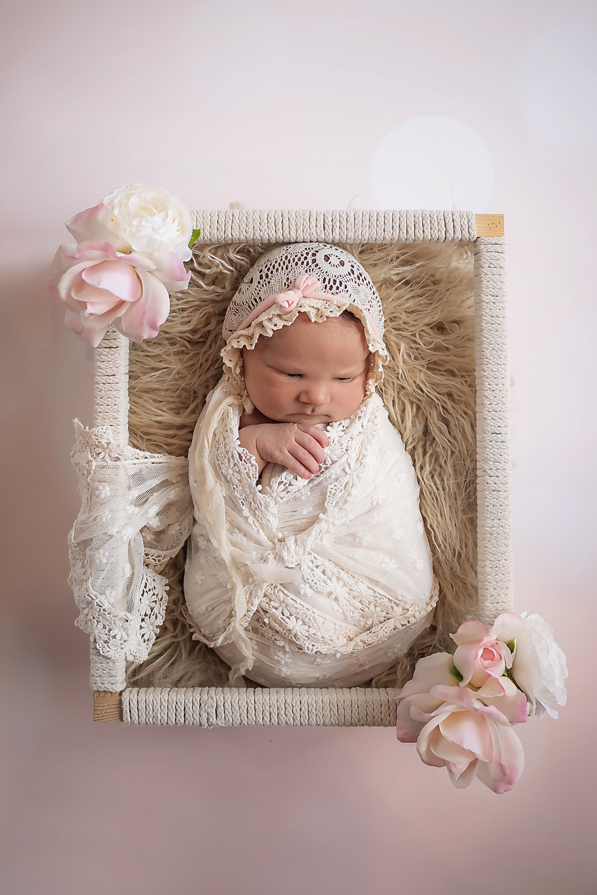 newborn photographer