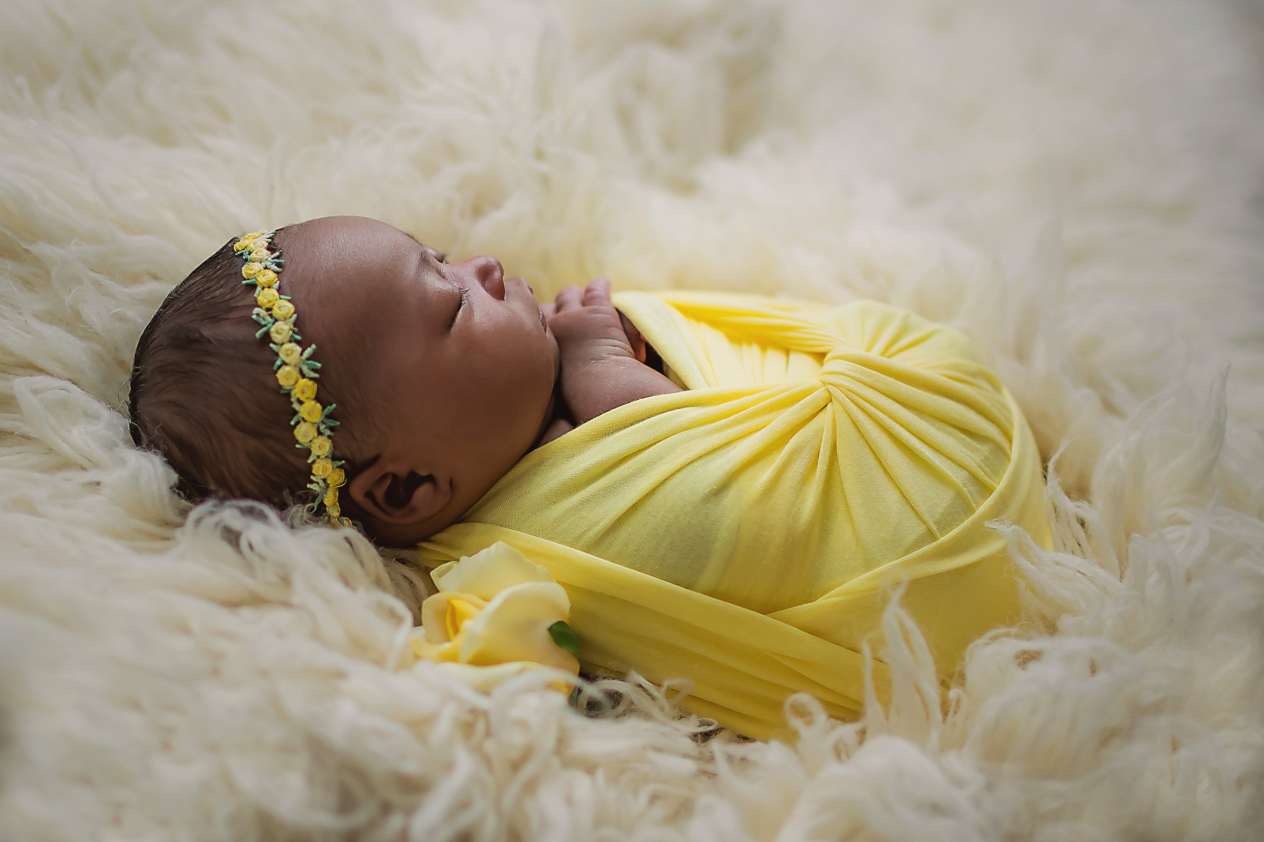 newborn photographer