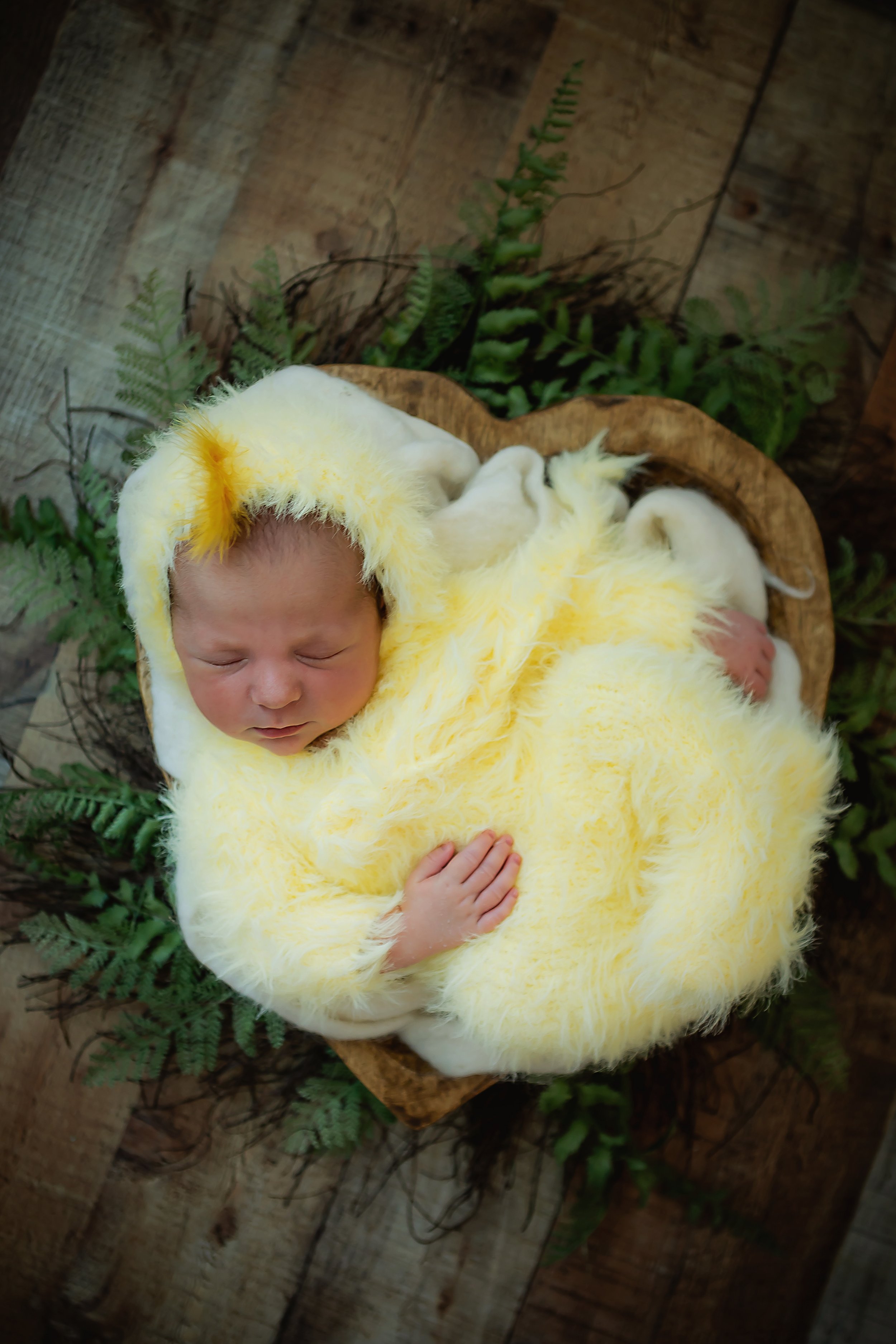 newborn photographer