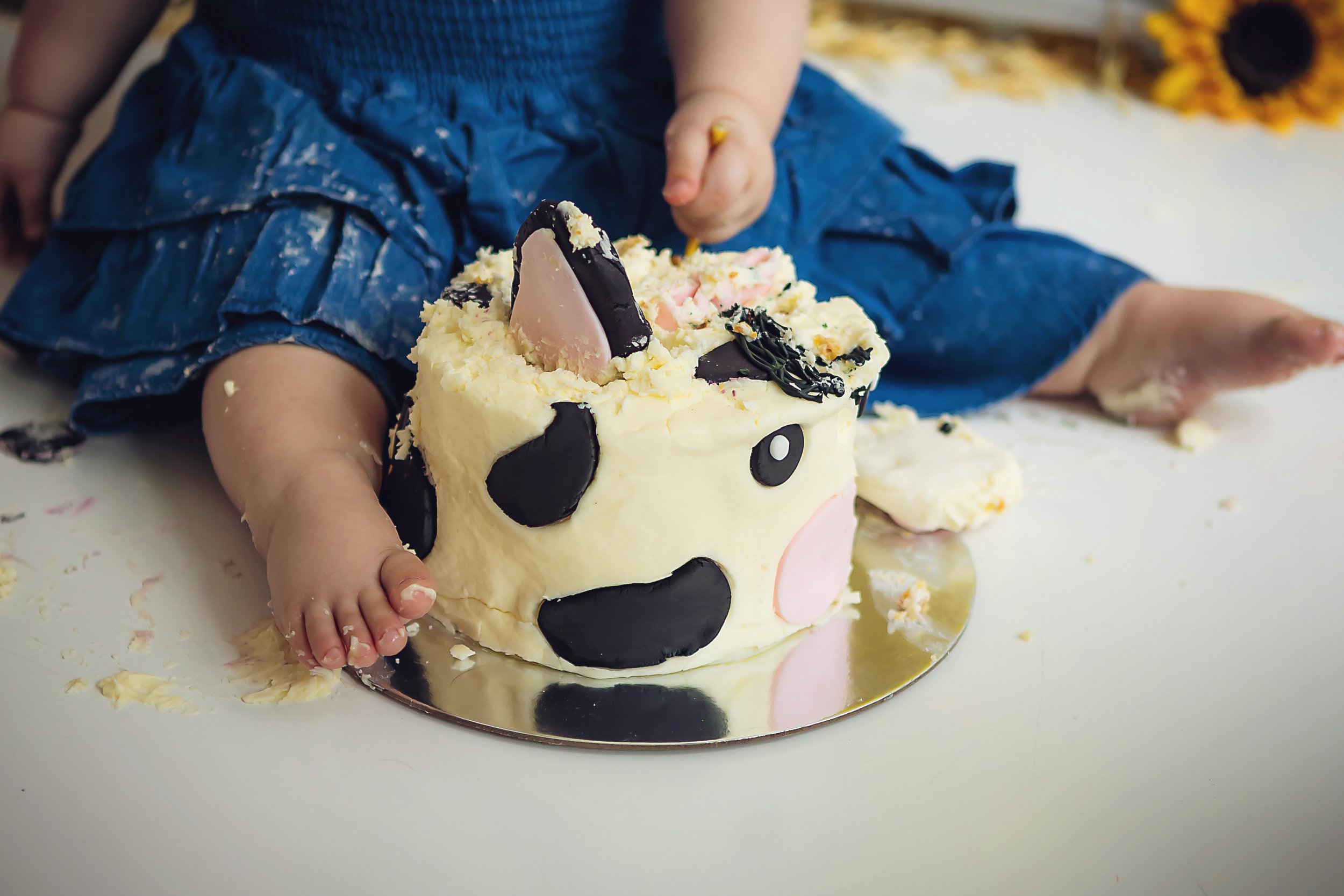 newborn photographer