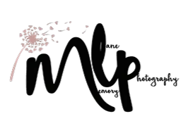 Memory Lane Photography Indianapolis