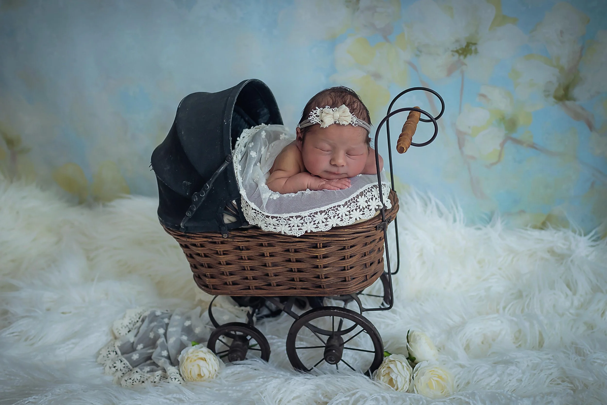 Newborn baby girl posed in tiny baby carriage  with floral sky blue and pale yellow backdrop in Indianapolis studio
