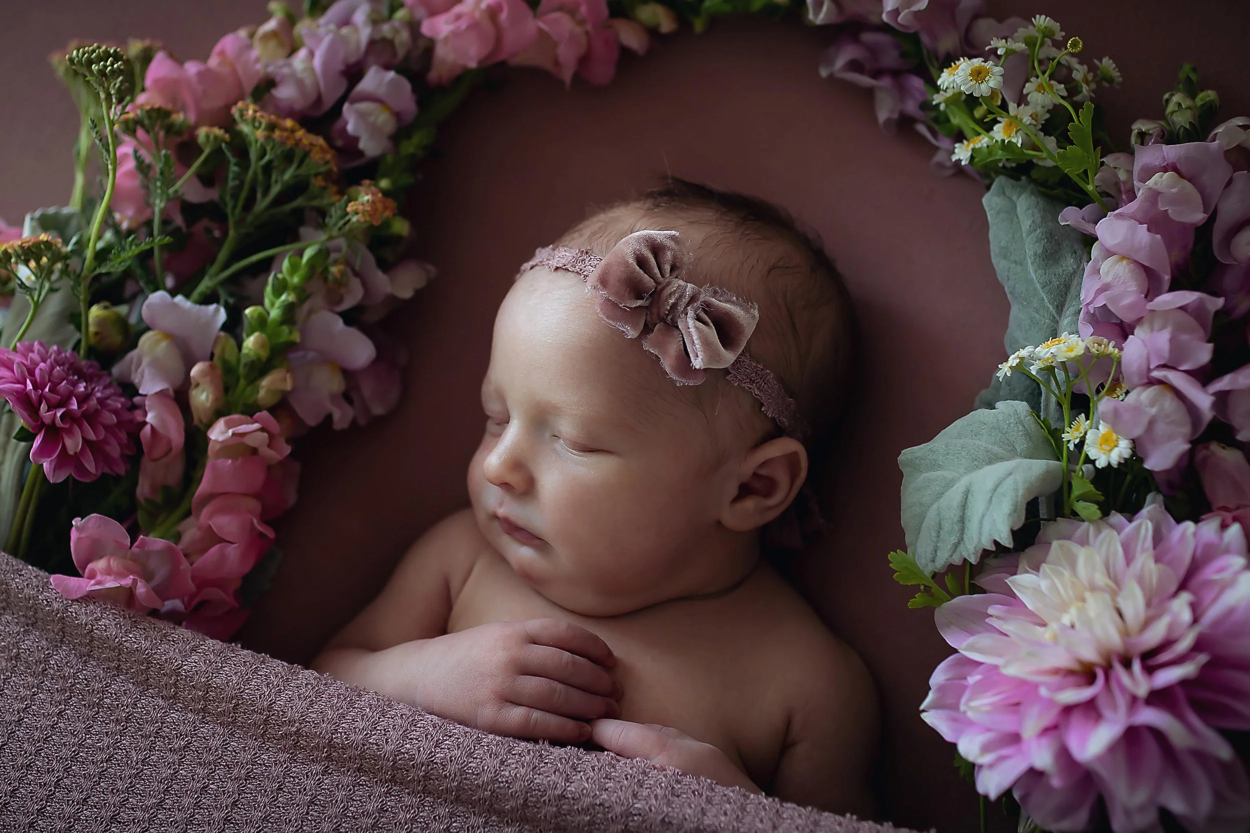 Newborn baby girl posed on pink backdrop tucked into matching pink cover with fresh spring flowers arranged around her in Indianapolis studio