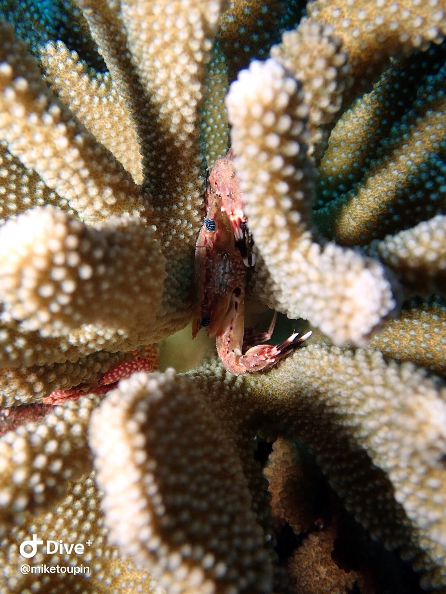 IMG_6496 2.JPG