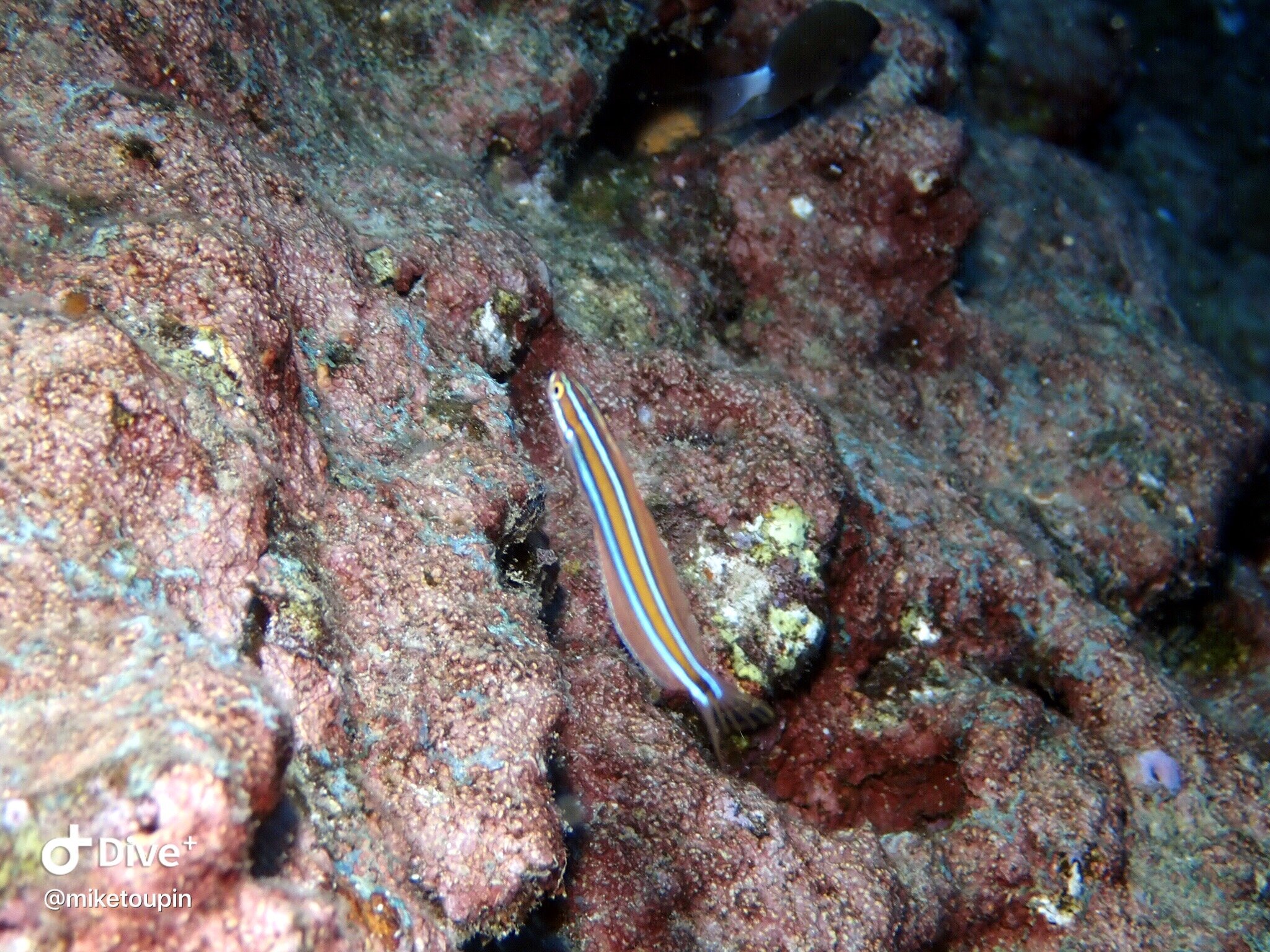 IMG_6519 2.JPG