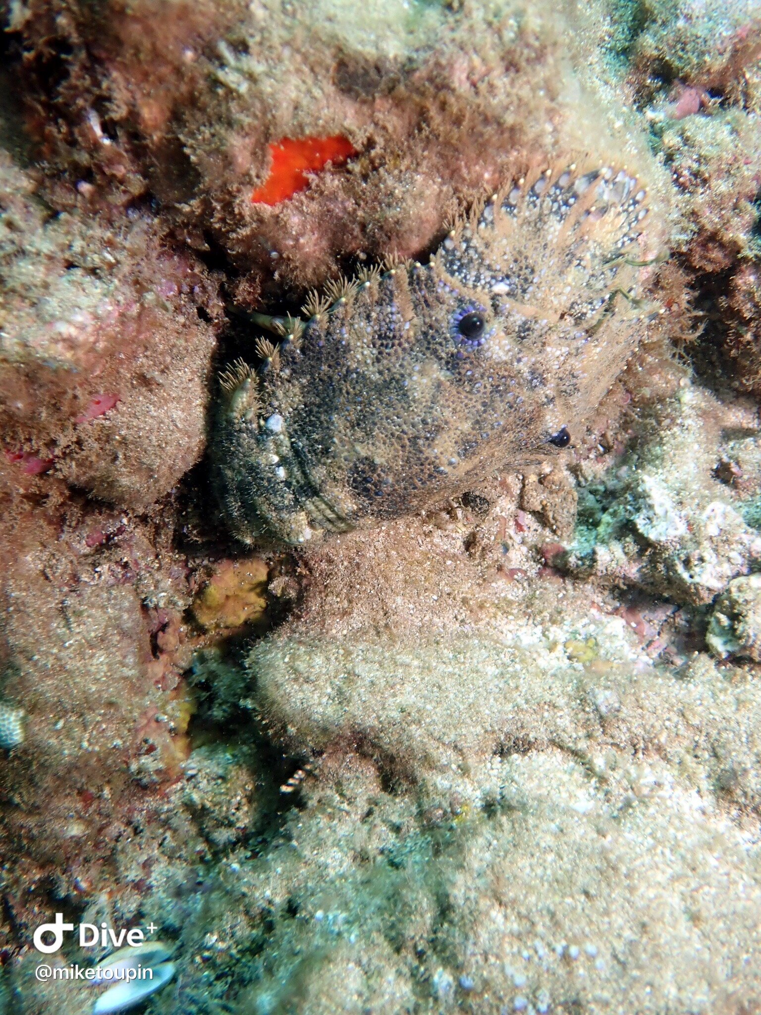 IMG_7260.JPG