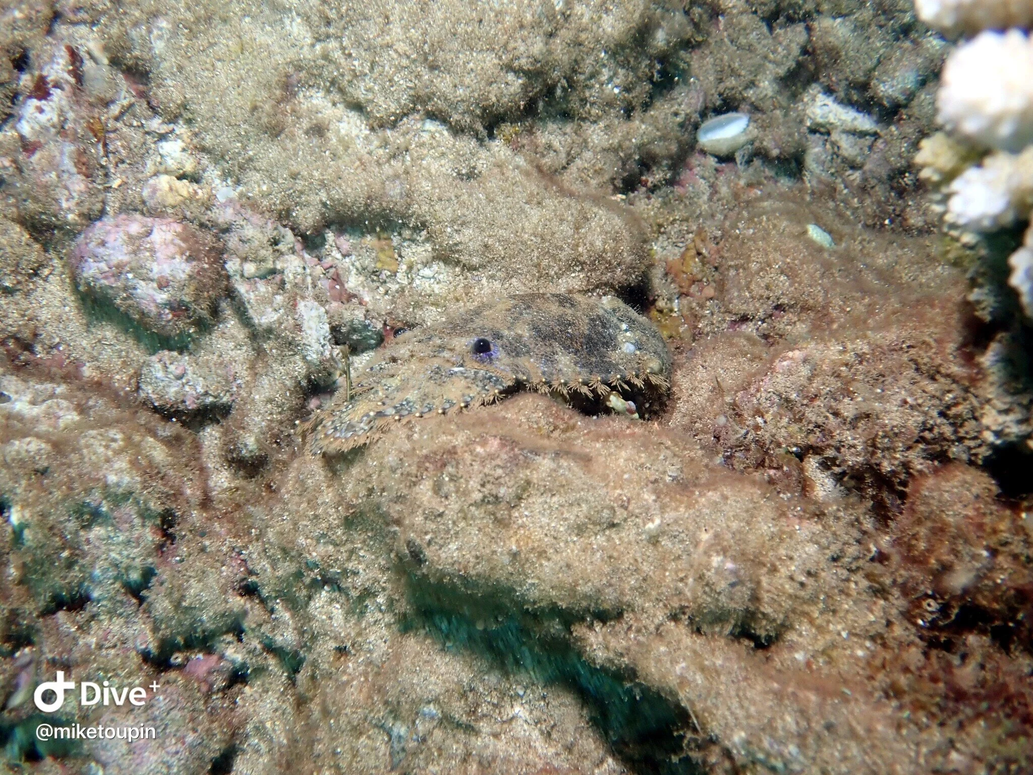 IMG_7261.JPG
