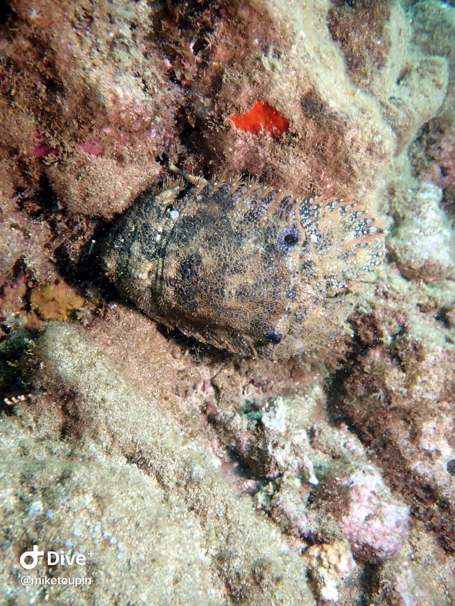 IMG_7262.JPG