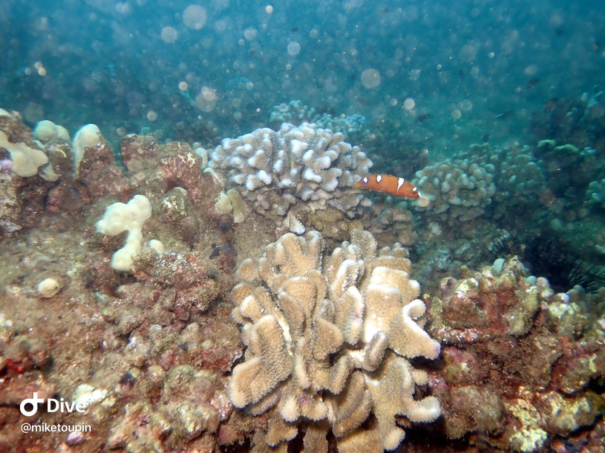 IMG_7275.JPG