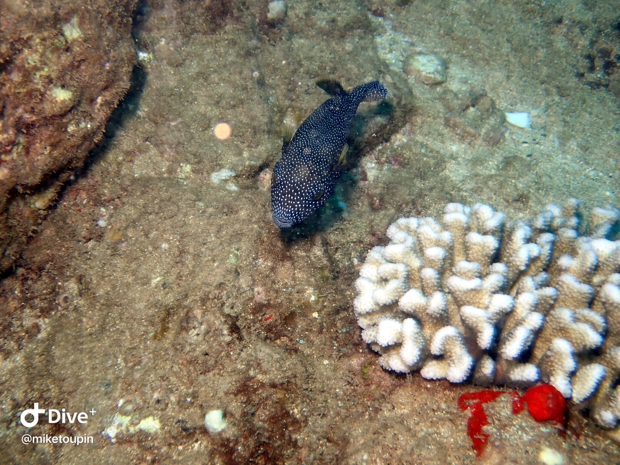 IMG_7295.JPG