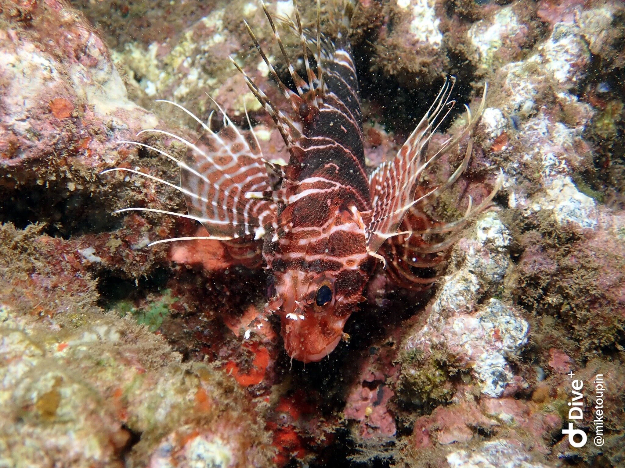 IMG_7305.JPG