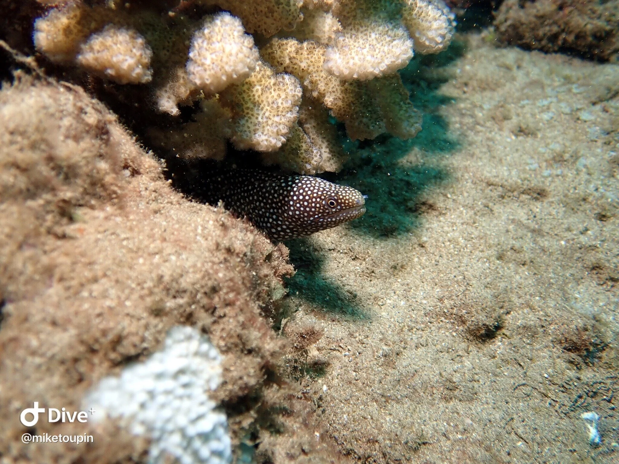 IMG_7316.JPG