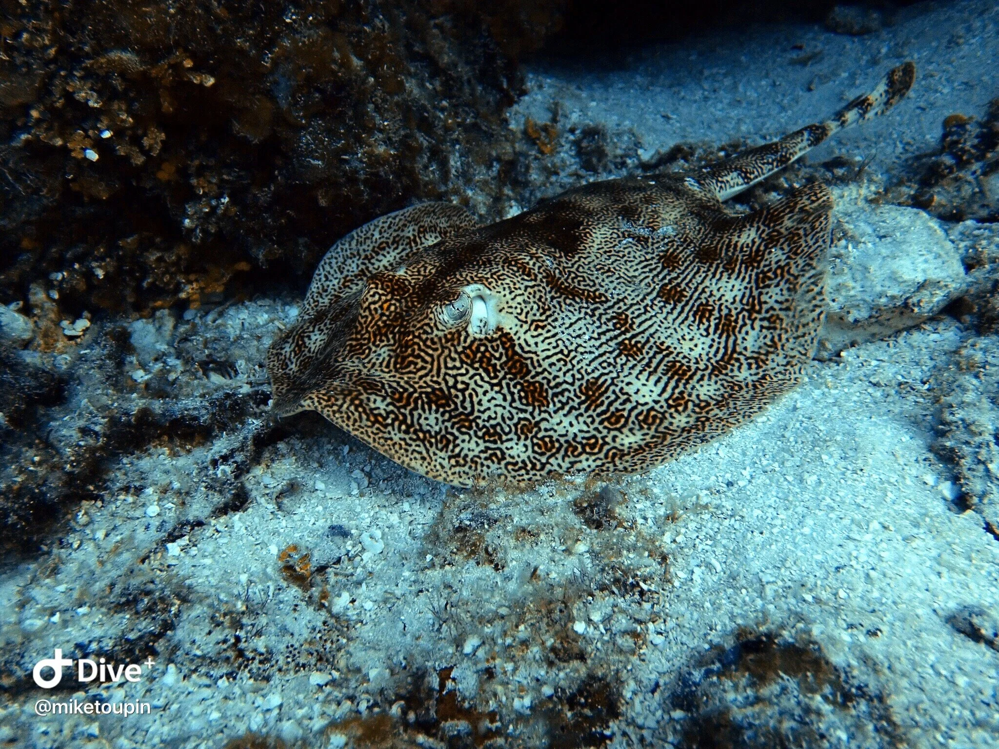 IMG_0340.JPG