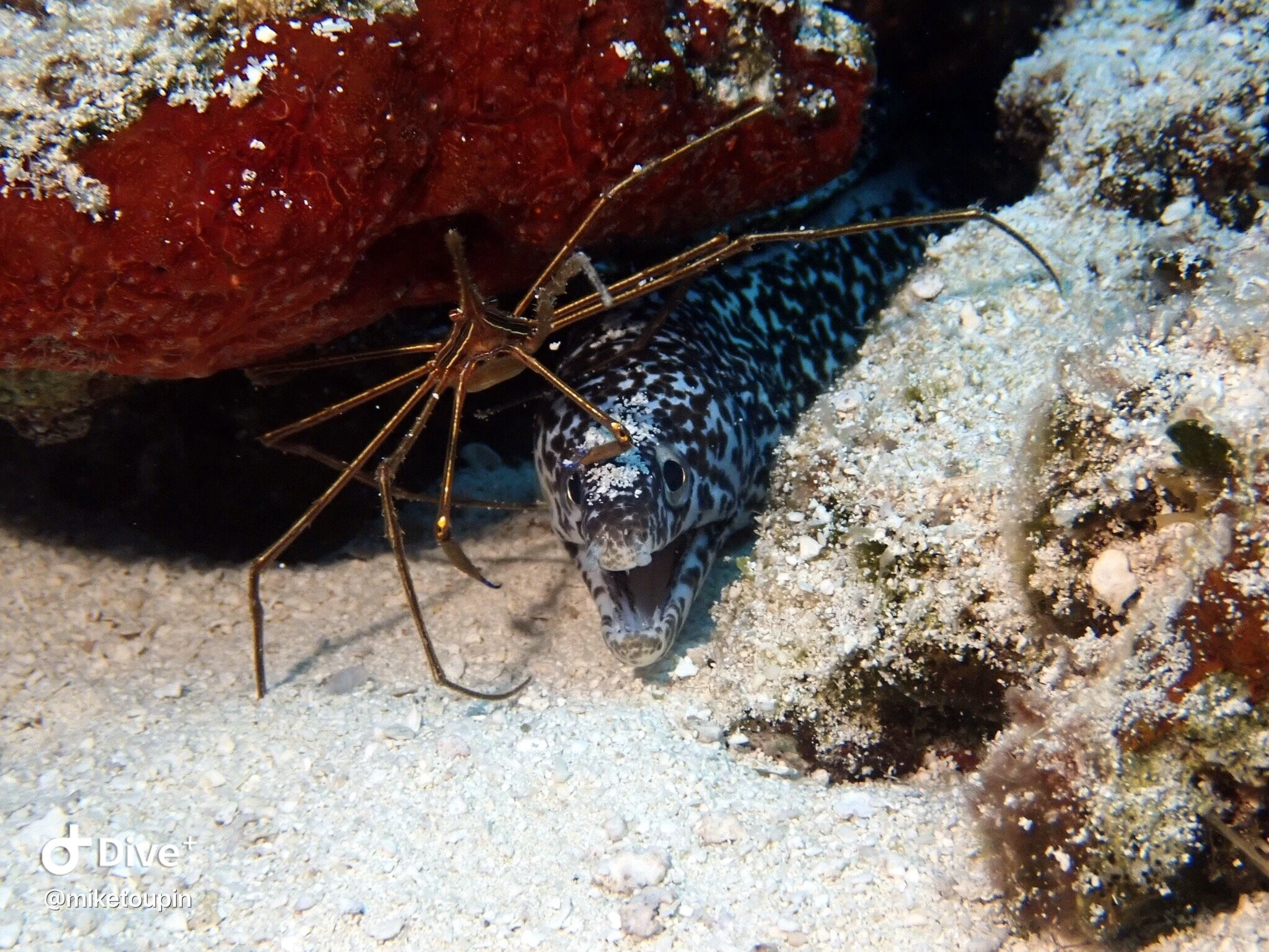 IMG_1399.JPG