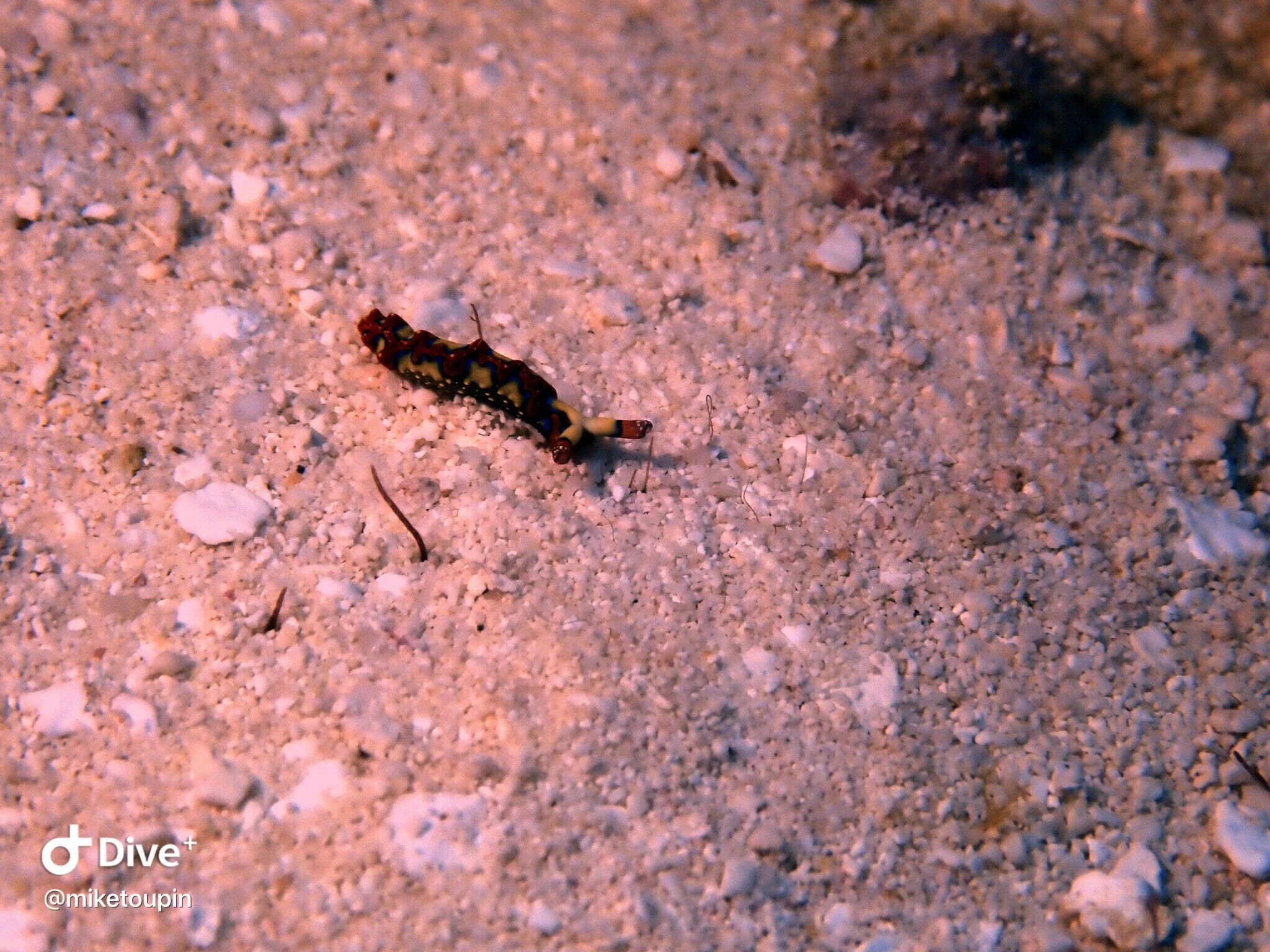 IMG_8472.JPG