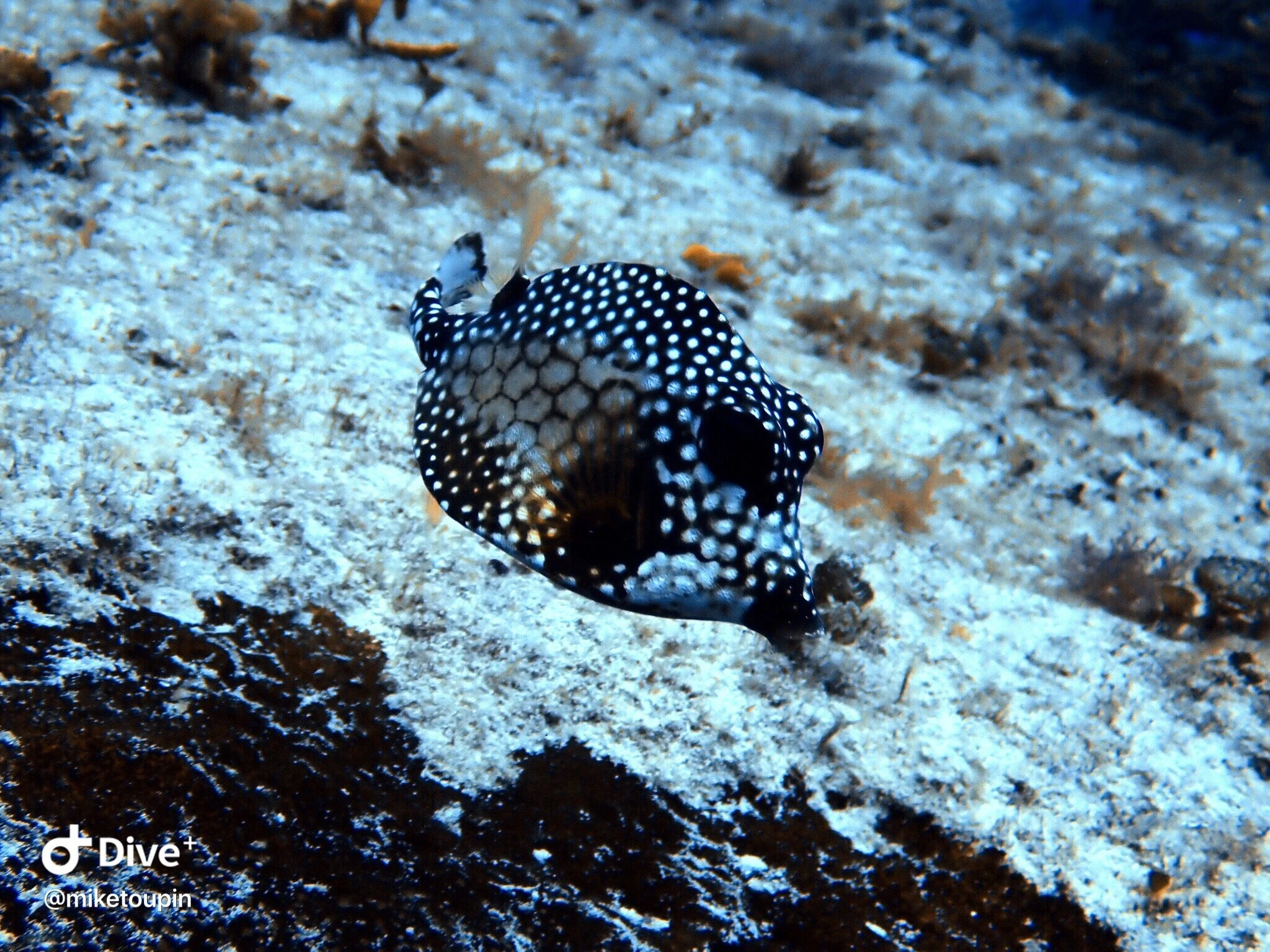 IMG_8512.JPG